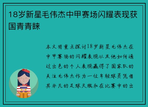 18岁新星毛伟杰中甲赛场闪耀表现获国青青睐